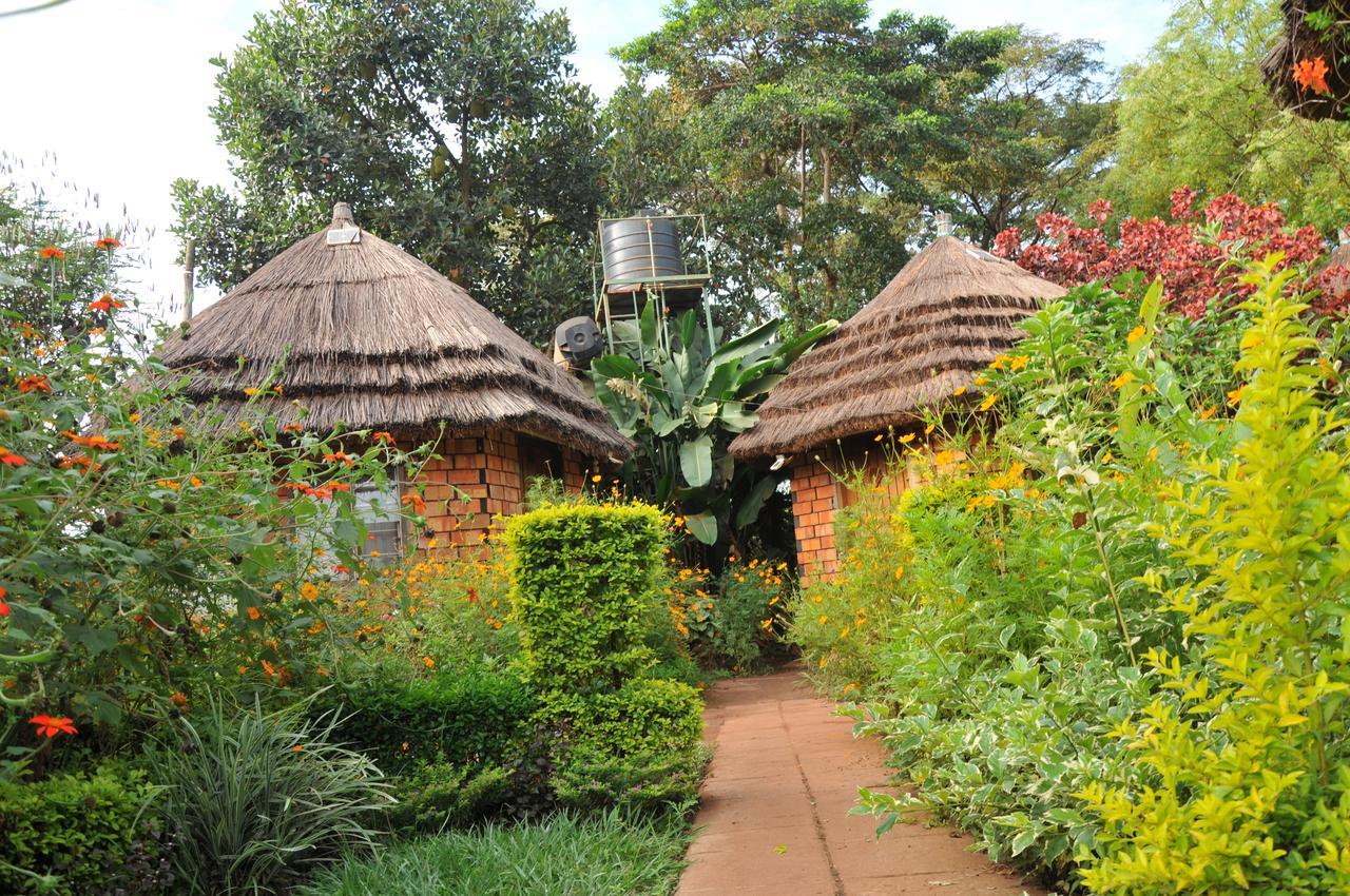 New Court View Hotel Masindi Exterior foto